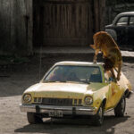 Stephen King’in Efsane Korku Romanı Cujo, Netflix’te Yeniden Hayat Buluyor