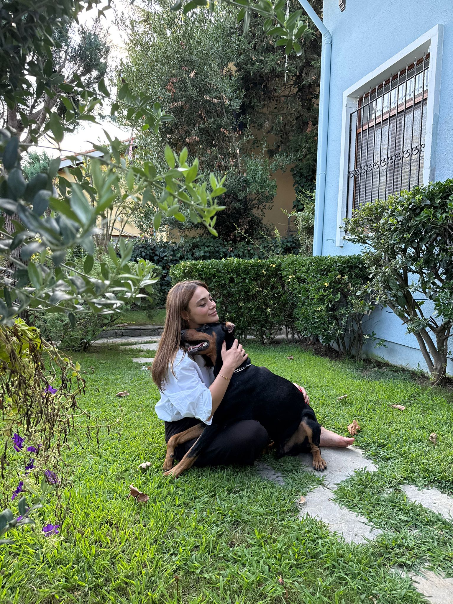 Rabia Soytürk, Şiddet Mağduru Köpeğe Yuva Oldu